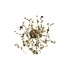 Бра Crystal Lux GARDEN AP-PL3 D400 GOLD