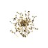 Бра Crystal Lux GARDEN AP-PL3 D400 GOLD