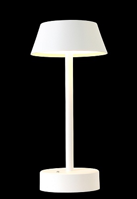 Настольная лампа Crystal Lux SANTA SANTA LG1 WHITE - фото и цены